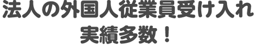 法人の外国人従業員受け入れ実績多数!